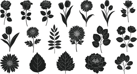 Set of detailed black floral silhouettes, various hand-drawn spring flowers, leaves, and buds including rose, tulip, and chrysanthemum isolated on white background.