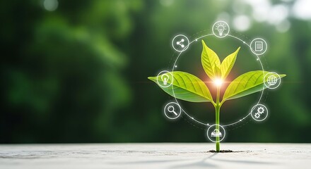 Young plant with digital icons representing growth