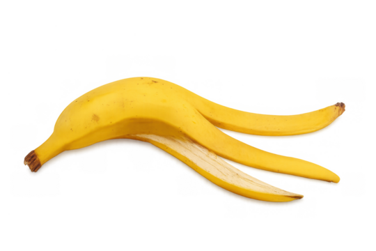 Ripe yellow banana peel with exposed white flesh on a transparent background, representing food waste, organic recycling, and clumsiness