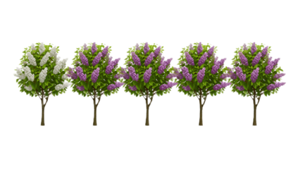 Illustration of Five Flowering Trees A Digital Display of Botanical Beauty