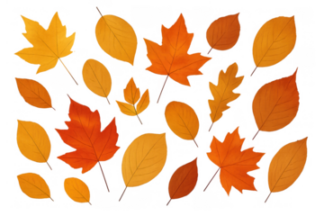 Autumn leaves falling, creating a vibrant pattern on a transparent background, symbolizing the change of season