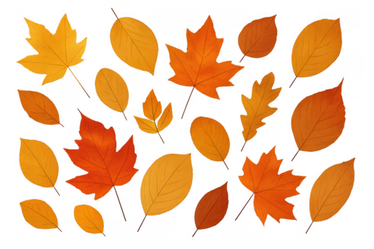 Autumn leaves falling, creating a vibrant pattern on a transparent background, symbolizing the change of season