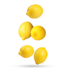 Fresh lemons falling on white background. Citrus fruit