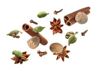 Different spices for Christmas drinks and dishes. Anise, cardamom, cinnamon, nutmeg and clove falling on white background