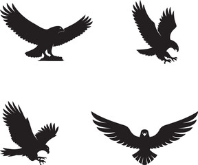Obraz premium Set of Four Flying Eagle and Hawk Bird Silhouette Vectors