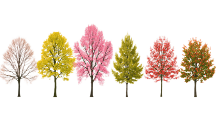 A vibrant collection of six trees illustrating the progression of the four seasons with colorful foliage isolated on a white background