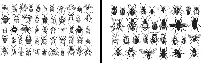bug collection clipart, insects vector, butterfly beetle design, entomology science art, nature bug drawing, wildlife insects artwork, creepy crawly set, educational biology vector, bugs pattern, real