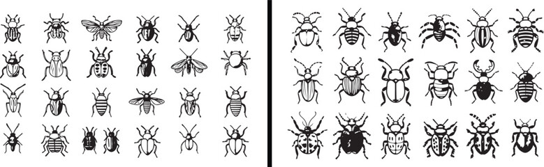  insect clipart, beetle illustration, bug vector, entomology art, colorful insects design, nature bug clipart, cute beetle icons, wildlife insects set, hand drawn bug art, adorable insect pattern