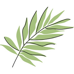 Minimalist Illustration of a Light Green Palm Leaf Branch with Black Outline and Transparent Background