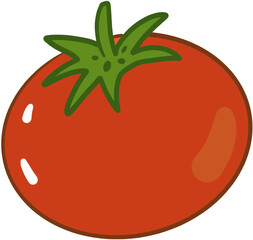 tomato vector illustration