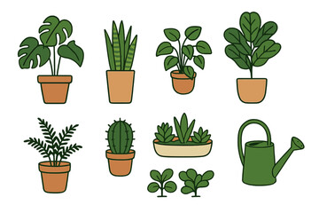 Assortment of decorative green potted houseplants and a watering can for indoor gardening