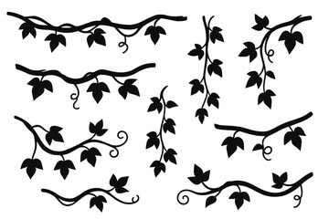 Black silhouette of ivy vine branches with leaves and curling tendrils