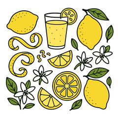 Lemon fruit, slices, peel, leaves, flowers, and refreshing lemonade drink elements