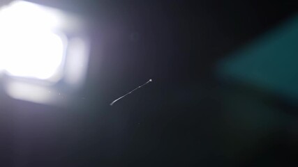 Detailed footage of a tiny spider web filament illuminated by soft light in a dark environment highlighting intricate craftsmanship and delicate structure