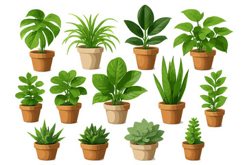 Assortment of popular green indoor plants in terracotta pots on white background