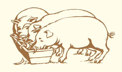 Vector drawing. Pigs eating rhe food