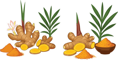 Ginger, turmeric, root, powder, herbal, spice, botanical, illustration, organic, cooking, medicinal, Ayurveda, health, nutrition, plant, healing, culinary, natural, seasoning, vibrant