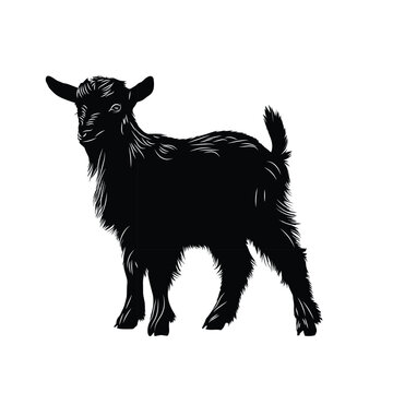 Kid Swagger Detailed Baby Goat Silhouette Vector