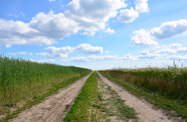 A Dirt Road Winding Through Green Fields Under a Blue Sky with clouds
