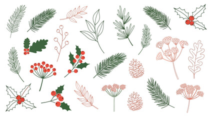 Collection of hand drawn winter botanical elements including pine sprigs holly berries and delicate floral illustrations