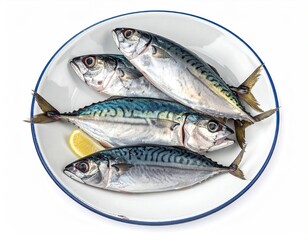 Fresh Mackerel Fish on White Plate