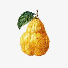 Illustration of Yellow Pear with Leaf