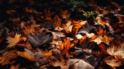 Fallen leaves background in brown and orange, capturing autumn atmosphere for graphics, posters, and digital content.
