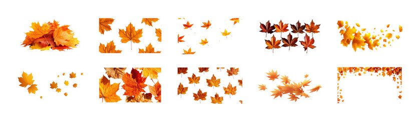 Fall foliage designs featuring assorted seasonal maple leaves in various arrangements, perfect for autumn creations on transparent background
