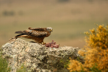 estudio de pintura en la universidad
