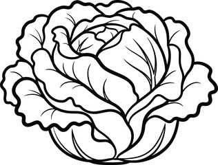 Cabbage vegetable outline drawing, fresh food ingredient icon