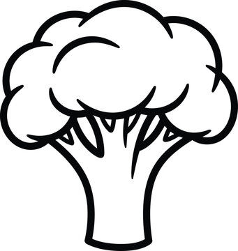 Broccoli vegetable simple outline drawing isolated design element