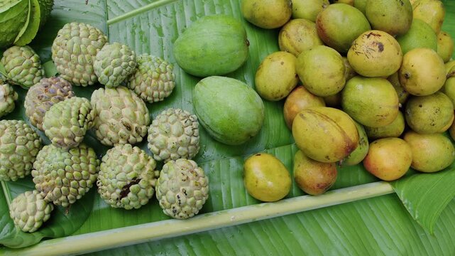 Discovering tropical fruits at a sweetsop market stall in vibrant surroundings