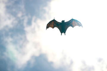 The flying fox, a fruit eater, is native to Southeast Asia.