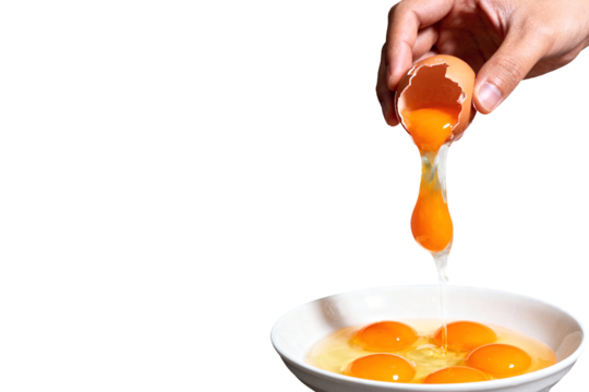 Egg yolk poured from the shell, served whole on a plate - Powered by Adobe