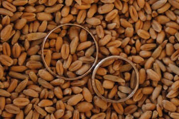 Unique wedding rings resting on a bed of golden wheat kernels in a romantic setting