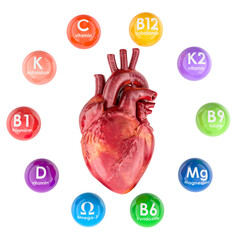Human heart with vitamins and minerals essential for cardiovascular health. 3D rendering