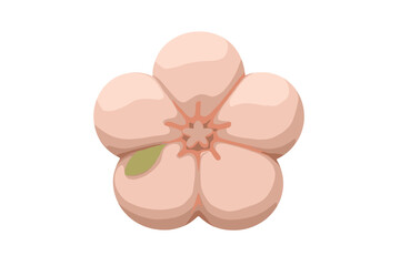 Delicate pink wagashi sweet shaped like a traditional Japanese plum blossom flower