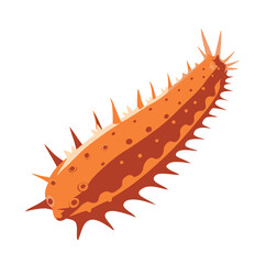 flat sea cucumber vector clean simple marine
