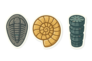 Collection of ancient marine fossils including trilobite, coiled ammonite, and crinoid segments © icon_art