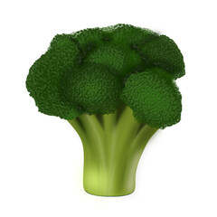 A bright green head of broccoli with dense florets and a juicy, thick stem. A symbol of natural benefits and healthy eating.