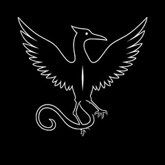Mythical bird phoenix dragon outline on black background