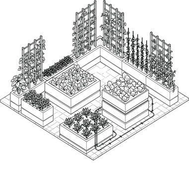 Isometric Raised Garden Beds and Vertical Trellis System Line Art Vector Illustration - Modern Home Farming Outline