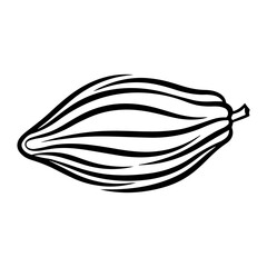 hand drawn vector illustration of a cocoa
