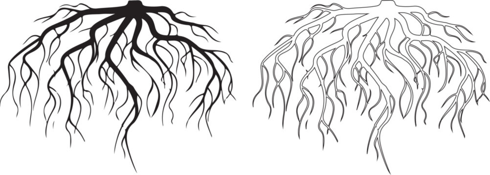 Tree Underground Roots Vector Plant