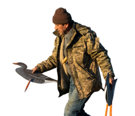 A mature hunter arranges stuffed decoy geese across the field