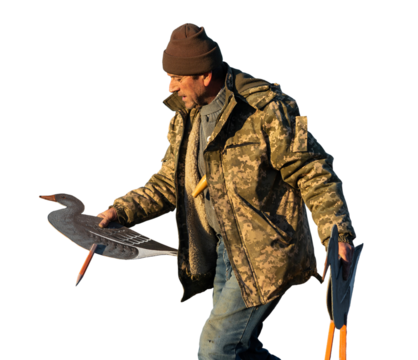A mature hunter arranges stuffed decoy geese across the field