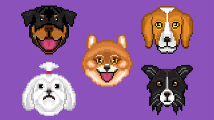 Pixel Dog Head Portraits Set 4 - Rottweiler, Beagle, Pomeranian & More