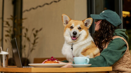 Corgi dog enjoys a coffee break with owner at outdoor cafe