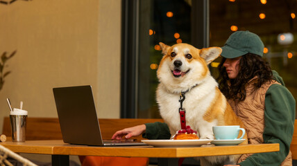 Corgi dog enjoys a cafe visit with owner, laptop, and pastry