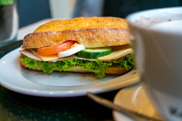Delicious Sandwich with Fresh Vegetables and Cheese